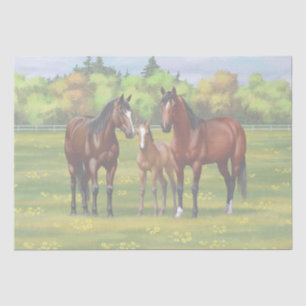 Papier Mousseline Chevaux Du Quartier De La Baie Brown Dans Les Pâtu