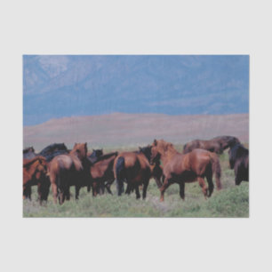 Papier Mousseline Chevaux sauvages à l'ouest