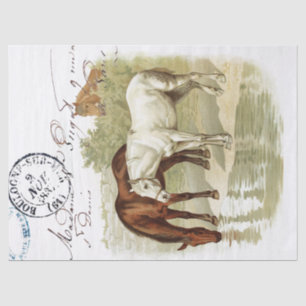 Papier Mousseline Chevaux vintages French Postmark Découpage Craft T