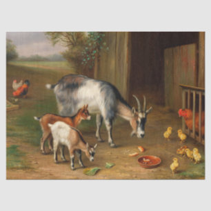 Papier Mousseline Chèvres Et Poulets À La Ferme