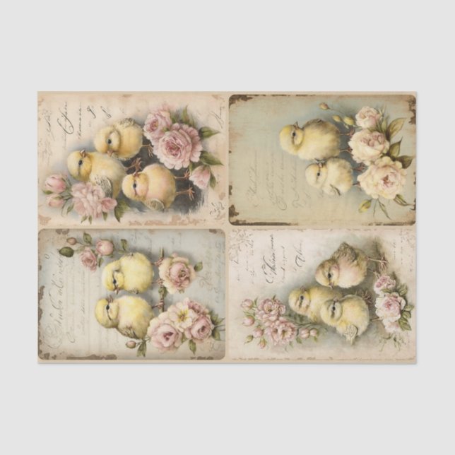 Papier Mousseline Chicots Shabby (Recto)