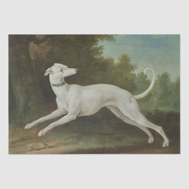 Papier Mousseline Chien blanc gris (par Jean-Baptiste Oudry) (Recto)