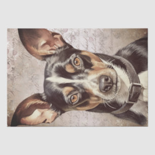 Papier Mousseline Chien de Rat Terrier