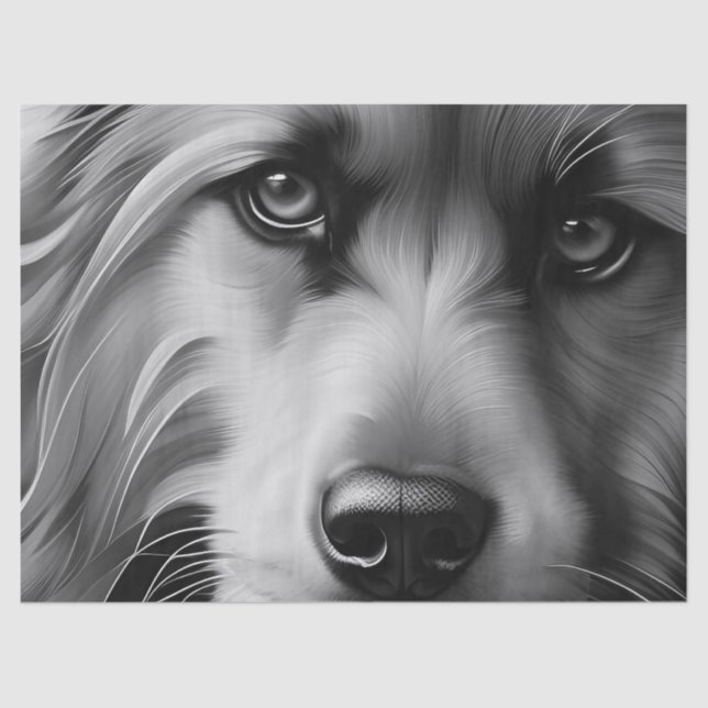 PAPIER MOUSSELINE CHIEN DE TERRIER NOIR ET BLANC (Recto)