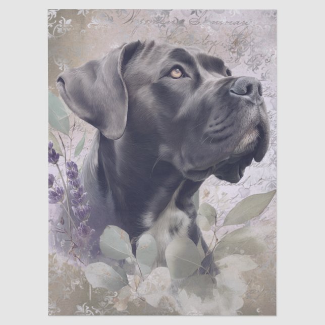 Papier Mousseline Chien floral Cane Corso (Recto)