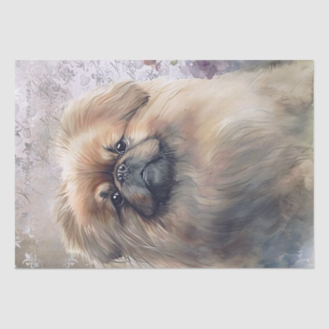 Papier Mousseline Chien floral de Pekingese (Recto)