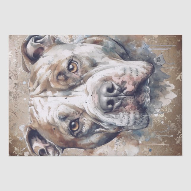 Papier Mousseline Chien Pitbull américain (Recto)