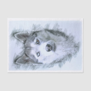 Papier Mousseline Chien sibérien Husky