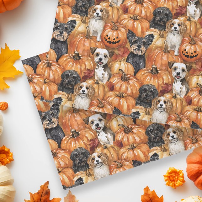 Papier Mousseline Chiens d'automne dans un patch de citrouille Hallo (Créateur téléchargé)