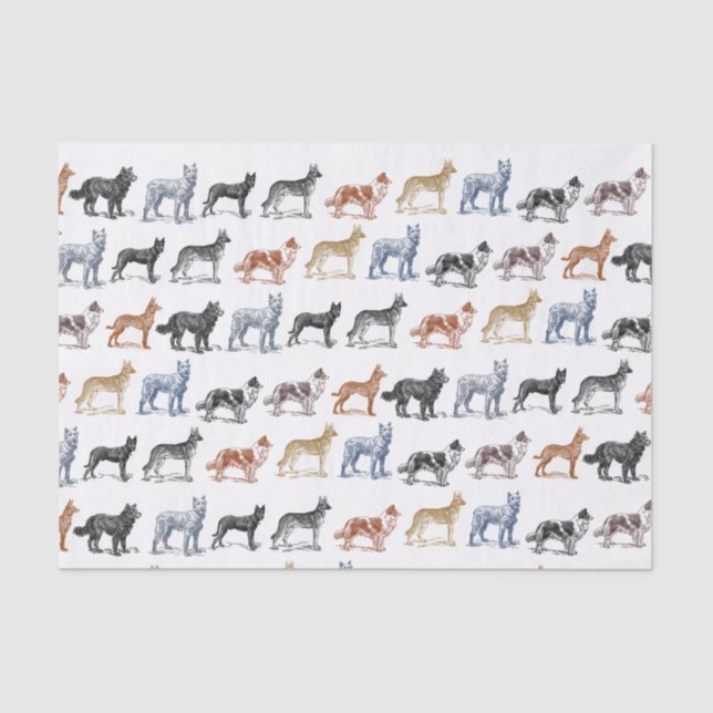 Papier Mousseline Chiens de toutes les sortes (Recto)