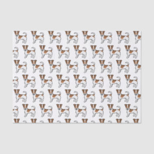 Papier Mousseline Chiens Terrier Jack Russell à Poil Dur Blanc & Fau
