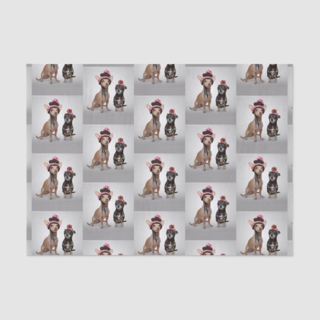 Papier Mousseline Chihuahua (Recto)