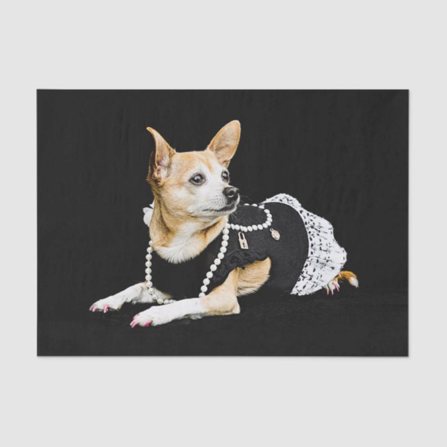 Papier Mousseline Chihuahua Chien Tan Brown Noir Élégant (Recto)