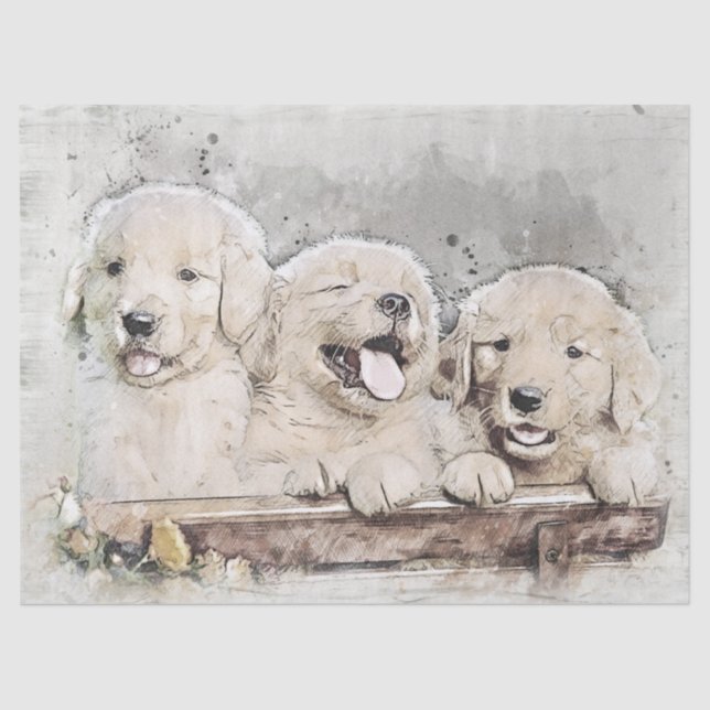 Papier Mousseline Chiots de Golden Retriever (Recto)