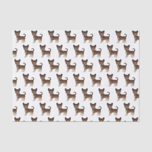 Papier Mousseline Chocolat Et Tan Smooth Coat Chihuahua Motif