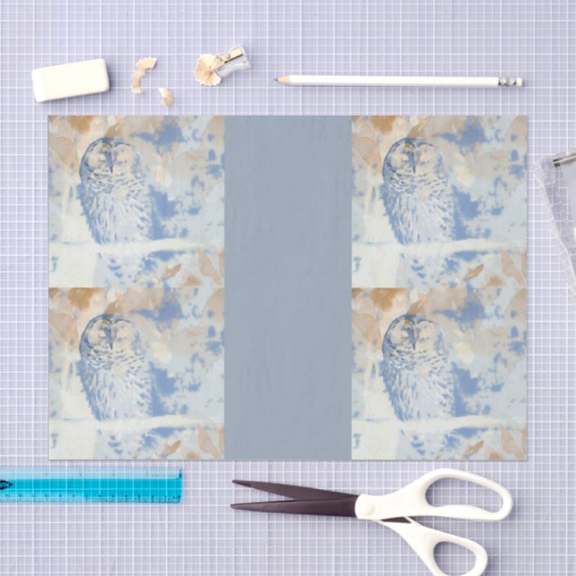 Papier Mousseline Chouette barrée modifier (Artisanat)