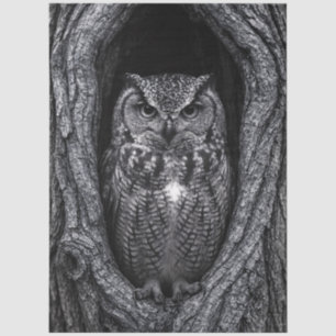 Papier Mousseline Chouette dans un arbre noir et blanc