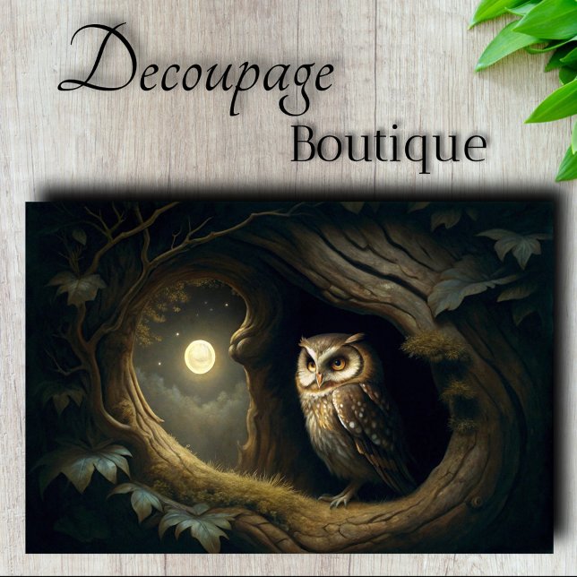 Papier Mousseline Chouette rêveuse de minuit Découpage (Midnight Dreamer Owl Decoupage Tissue Paper)