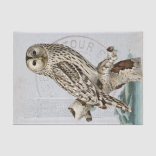 Papier Mousseline Chouette vintage - Découpage bleu