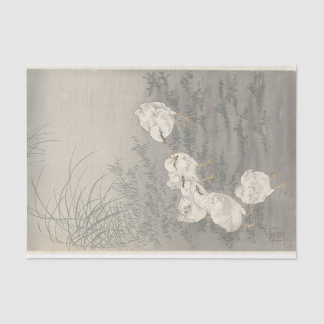 Papier Mousseline Cinq pousses par Ohara Koson (Recto)