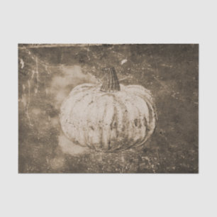 Papier Mousseline Citrouille Automne Vintage Blanc Texture Sépia