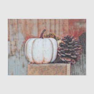 Papier Mousseline Citrouille Blanc Automne Rustique Pays Ferme