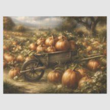 Citrouilles dans une brouette en bois