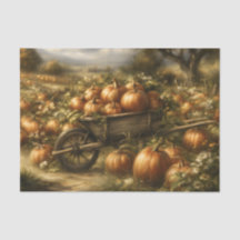 Citrouilles dans une brouette en bois