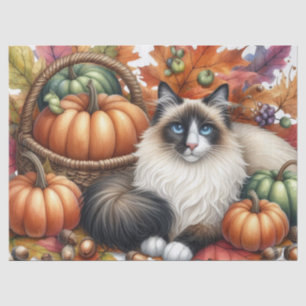 Papier Mousseline Citrouilles d'automne Feuilles d'automne Chat Ragg