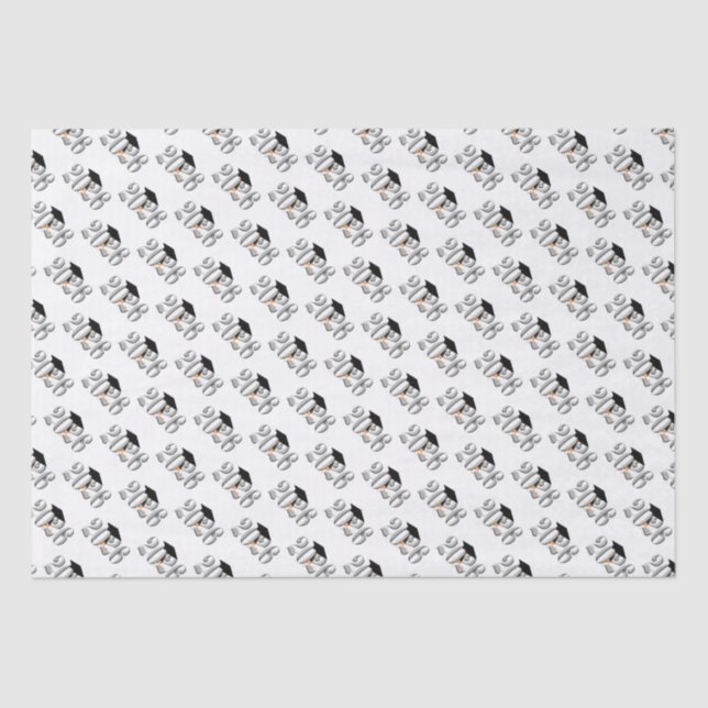 Papier Mousseline Classe Argent de 2026 Graduation (Recto)