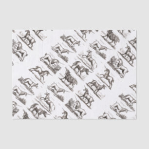 Papier Mousseline Classique Unicorne Antique Mythique Magie Créature