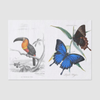 Papier Mousseline Collage d'artiste antique vintage époustouflant