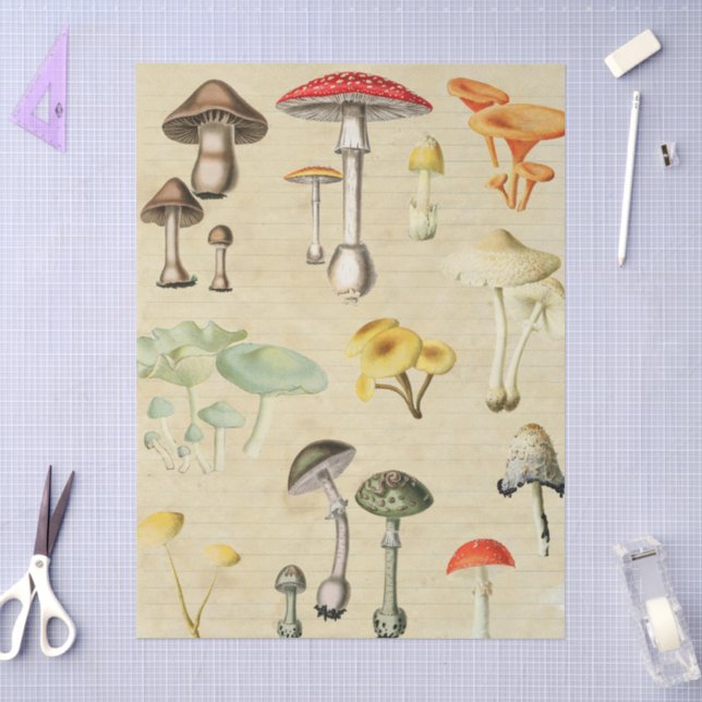 Papier Mousseline Collage de champignons  (Artisanat)