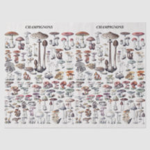 Collage de champignons vintages