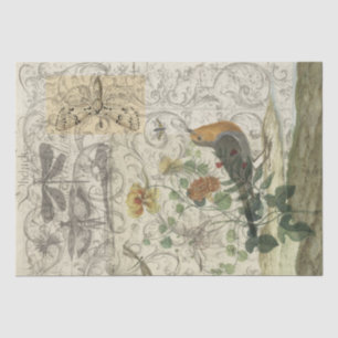 Papier Mousseline Collage d'oiseau