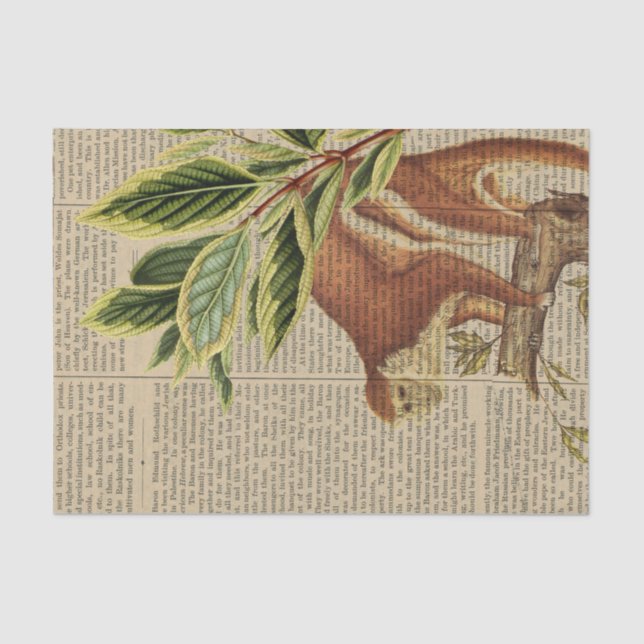 Papier Mousseline Collage vintage de singe (Recto)