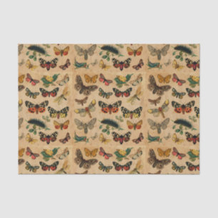 Papier Mousseline Collection de papillons Vintage Découpage d'antiqu