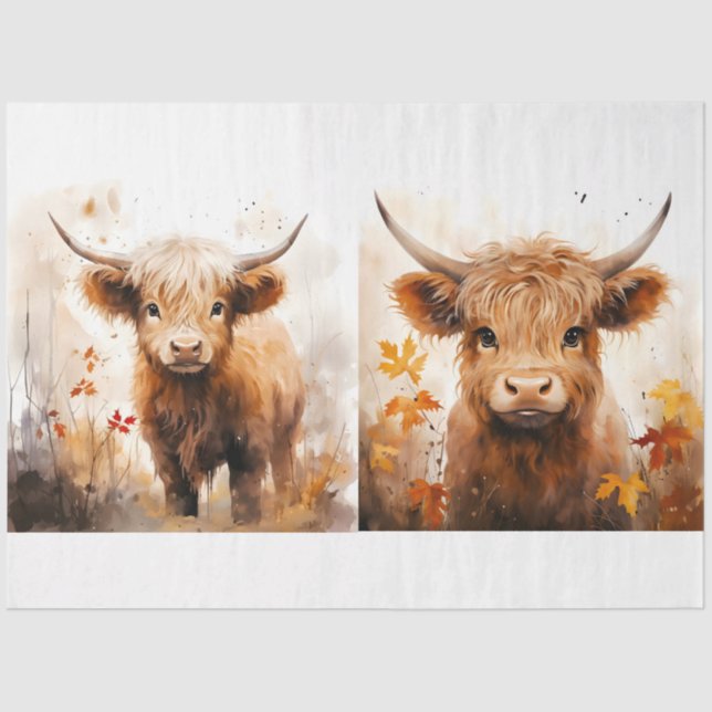 Papier Mousseline Collection Design de vaches Highland 1 (Recto)