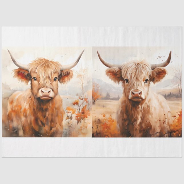 Papier Mousseline Collection Design de vaches Highland 3 (Recto)