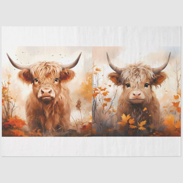 Papier Mousseline Collection Design de vaches Highland 4 (Recto)
