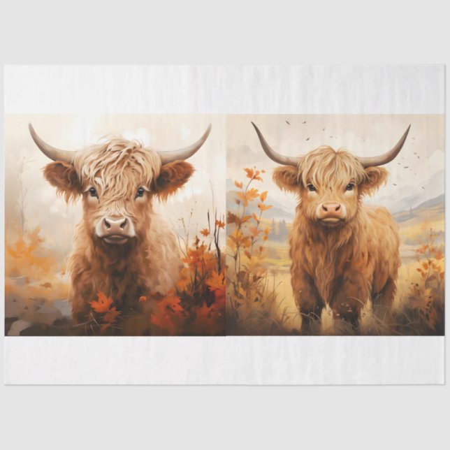 Papier Mousseline Collection Design de vaches Highland 6 (Recto)