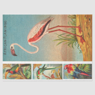 Papier Mousseline Collection d'oiseaux Flamant rose 2c Découpage Vin