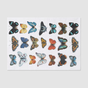 Papier Mousseline Collection Papillons d'apparence réaliste Coupes F