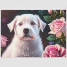 Collection rose Et Petits Chiens