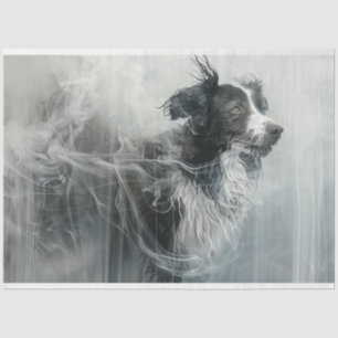 Papier Mousseline Collie frontalier dans un nuage de fumée découpage