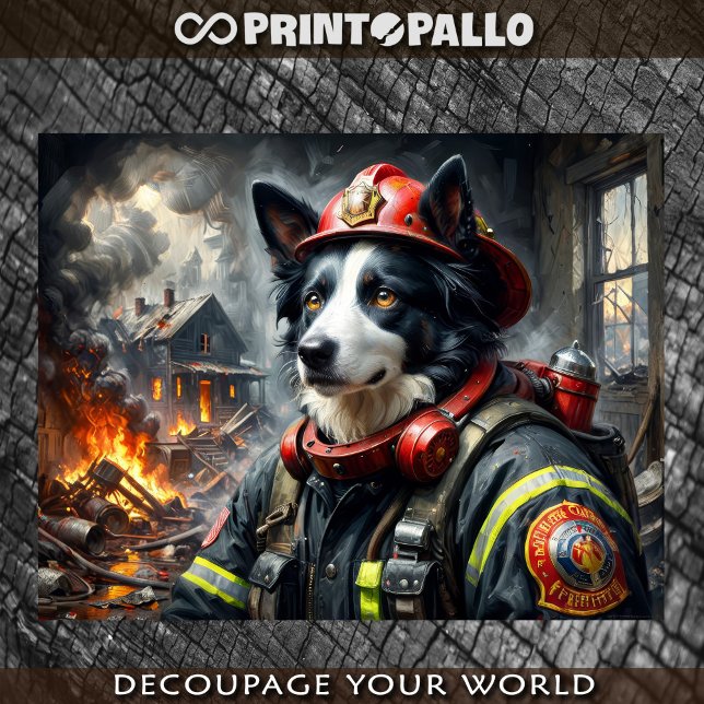 Papier Mousseline Collie frontière en tant que pompier - (Créateur téléchargé)