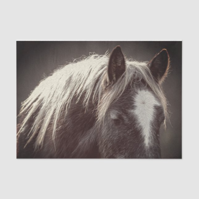 Papier Mousseline Colt Broadfoot (Recto)