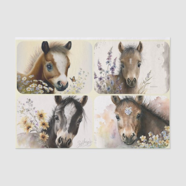 Papier Mousseline Colts bébé (Recto)