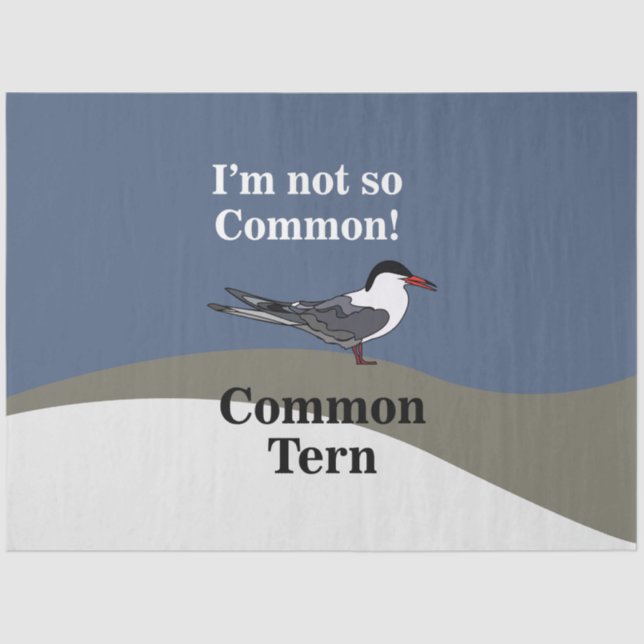 Papier Mousseline Common Tern Seabird Bird Funny (Recto)