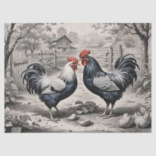 Papier Mousseline Conception de basse-cour de poulets (Recto)